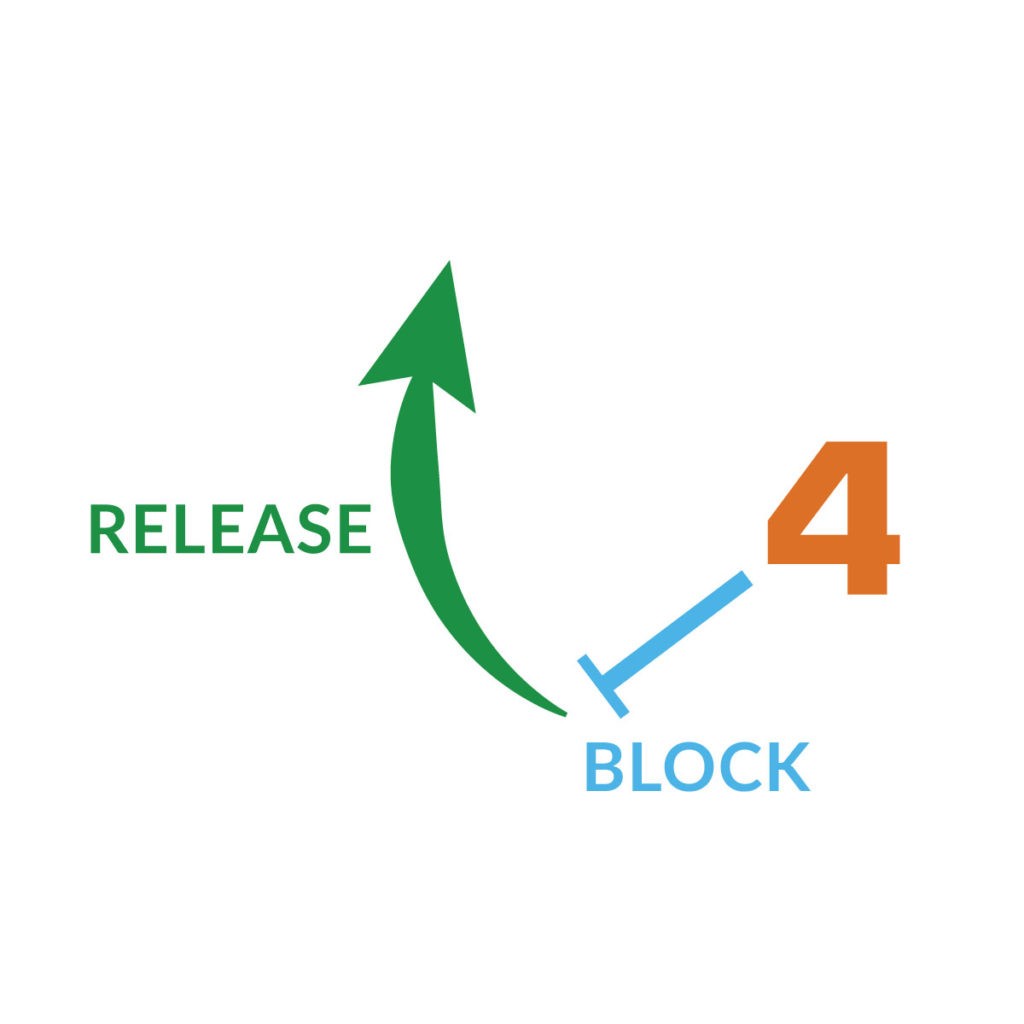 block and release football route