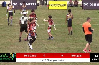12U Coed Flag Football Championship: Red Zone All Stars vs Huron Valley Bengals (2020)