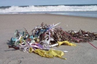 Clean Ocean Action needs volunteers for upcoming beach sweeps