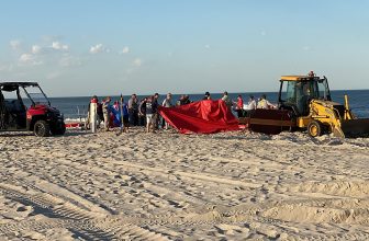 Ocean County officials urge caution on beaches this summer
