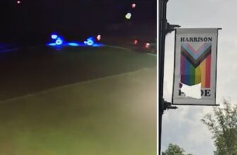 Cops seek 'vehicle of interest' in vandalized Pride banner case