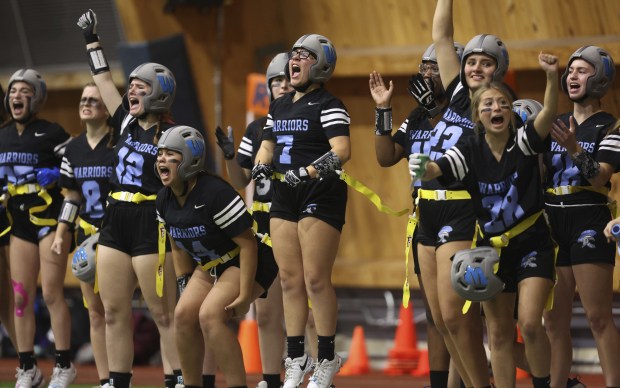 Willowbrook High School players, including Emily Pearson (7), cheer during...