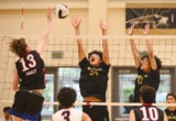 American Canyon boys volleyball sweeps Analy – Times-Herald