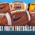 Detroit Lions Launch “Little Lions” Youth Flag Football Program
