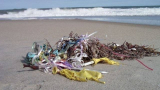 Clean Ocean Action needs volunteers for upcoming beach sweeps