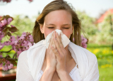 How to prepare, battle summer-fall allergies at Jersey Shore