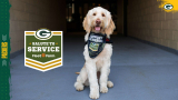 Packers, Fleet Farm to honor veterans and military members for ‘Salute to Service’ month throughout November 