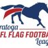 Atlanta Falcons to hold girls flag football clinics in Missoula and Bozeman | High School Football