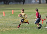 Tikes N’ Spikes Youth Flag Football online registration