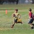 Flag Football Tournament Coming To Boone