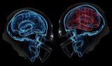Adult & Youth Flag Football Concussions: What to Know